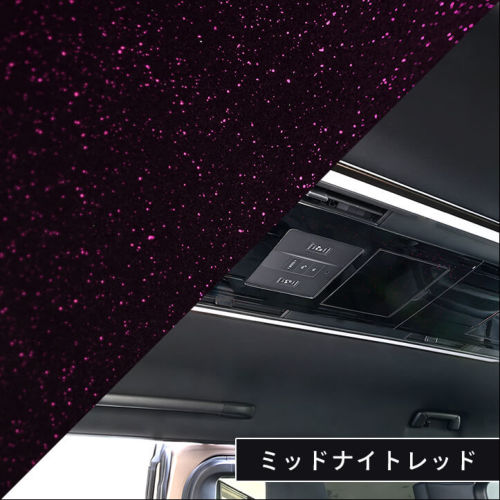 トヨタ ヴェルファイア/アルファード40系 後席ルーフコンソールパネル