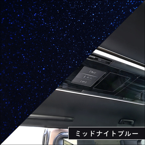 トヨタ ヴェルファイア/アルファード40系 後席ルーフコンソールパネル