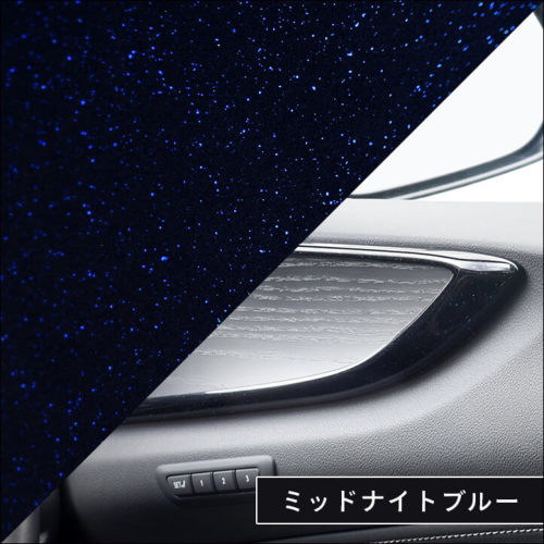車 レクサス NX20系 オーバートレイル ジオレイヤー ドア トリム