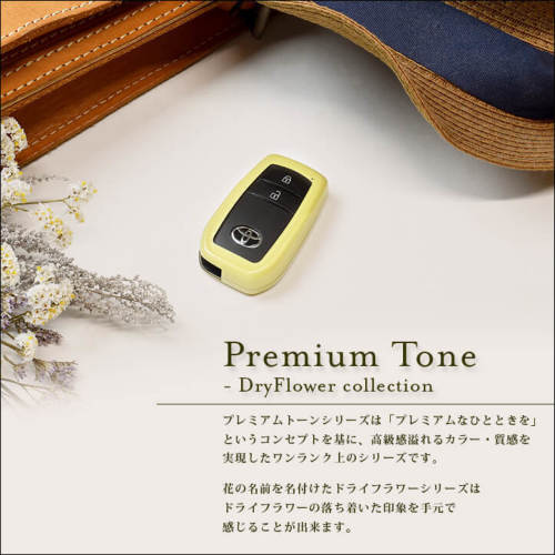 ダイハツ ミライース LA350S・LA360S リアドアハンドルパネル ドライ 